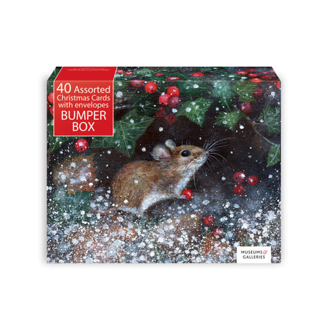 40 Assorted Christmas Cards Box