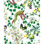 Green Jungle (Mary Mare) Card