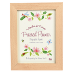 Wonders of Nature Pressed Flower Keepsake Frame