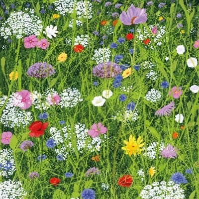 Wild Garden Card