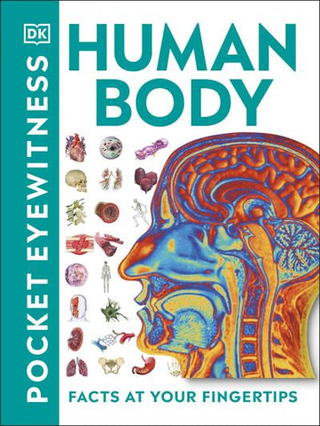 Human Body