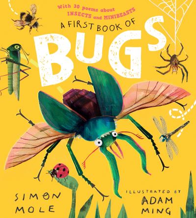 A First Book of Bugs