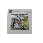 Young Hare Coasters