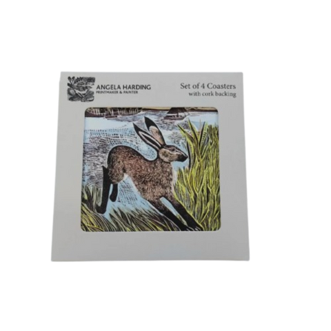 Young Hare Coasters