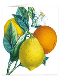 Oranges & Lemons Card