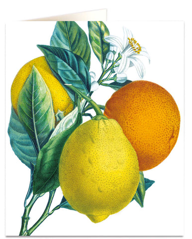 Oranges & Lemons Card