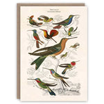 Hummingbirds Card