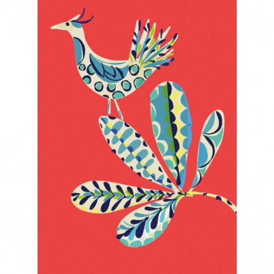 Birdy Card