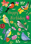 Birdhaven Birthday Card