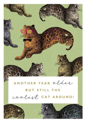 Rock On Coolest Cat Card