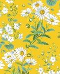 Yellow Daisies Card
