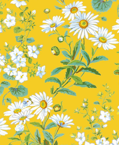 Yellow Daisies Card