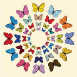 Flowerfly Card