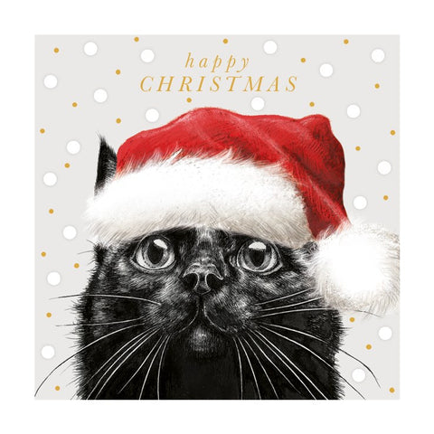 Christmas Cat in Hat 6 Charity Christmas Cards