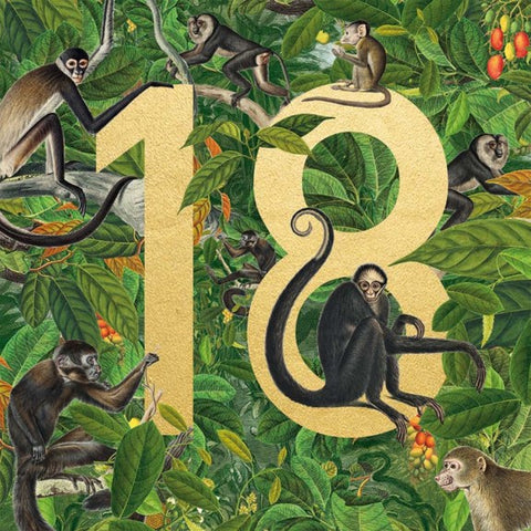 Monkeys 18th Birthday Card