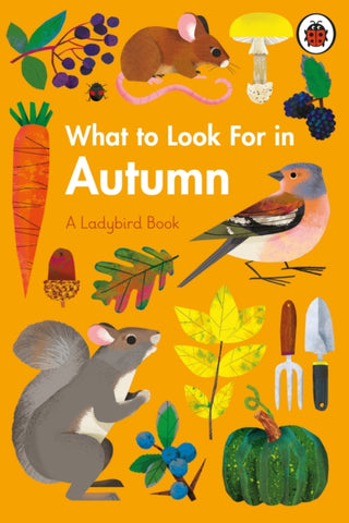 What to Look For in Autumn by Elizabeth Jenner