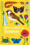 What to Look For in Summer by Elizabeth Jenner
