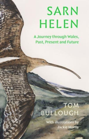 Sarn Helen by Tom Bullough