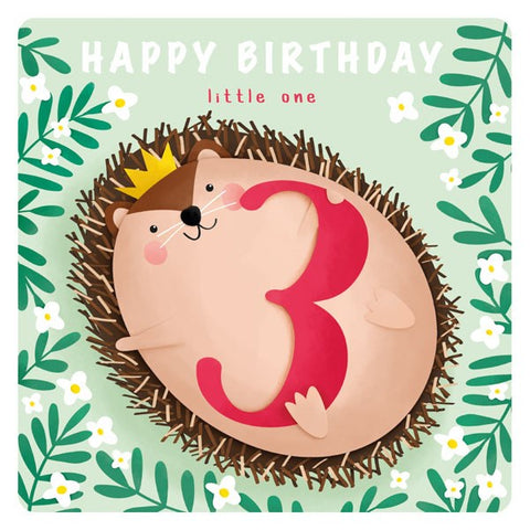 3rd Birthday Hedgehog Card